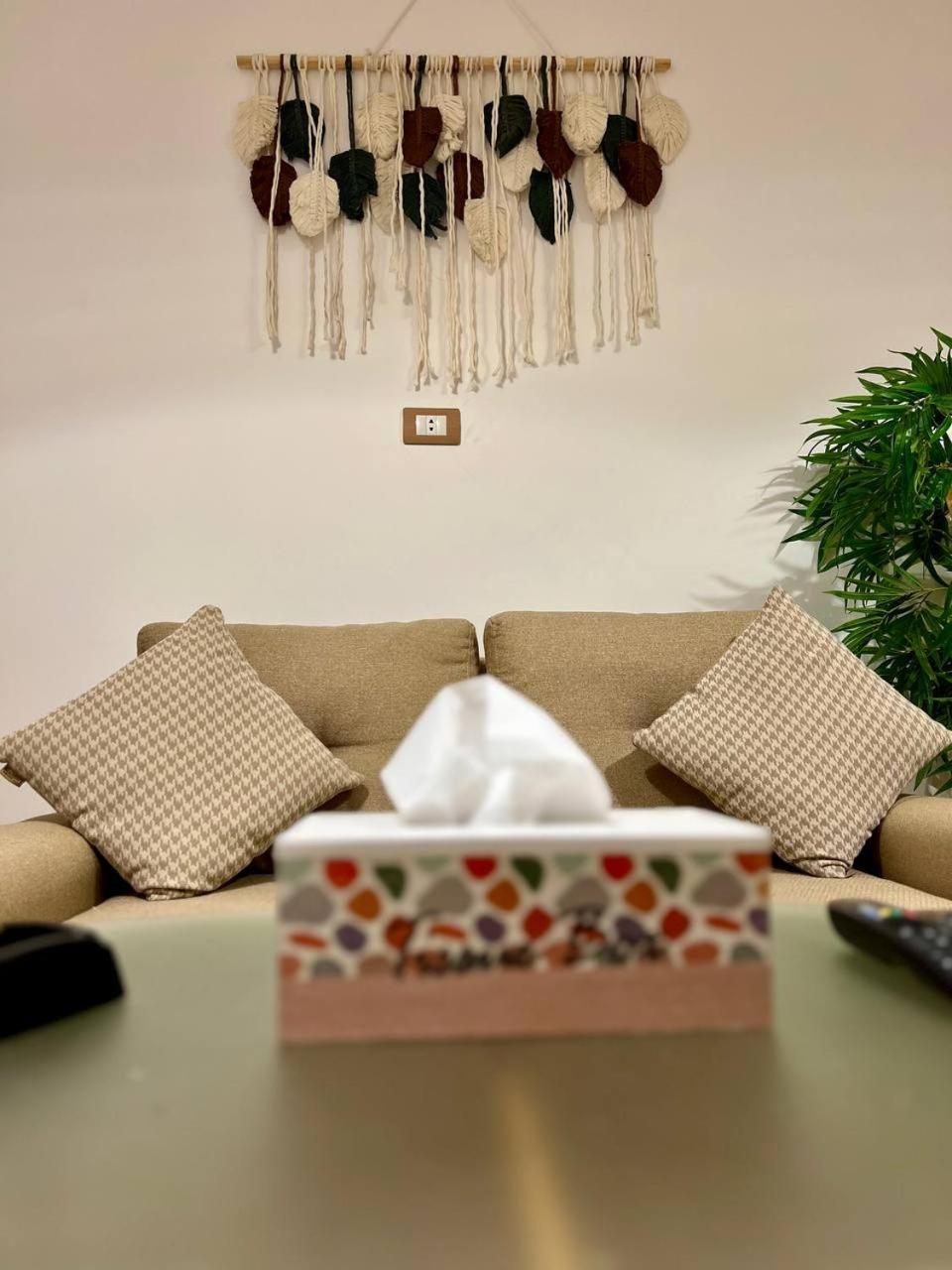 Paradise * Sheikh Zayed City